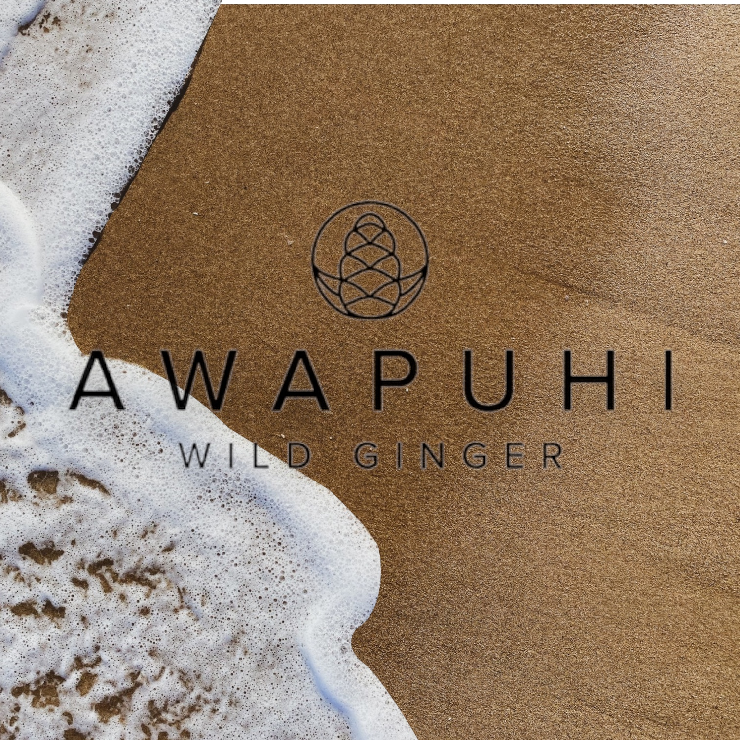 Awapuhi Wild Ginger Serie - Wash it Out
